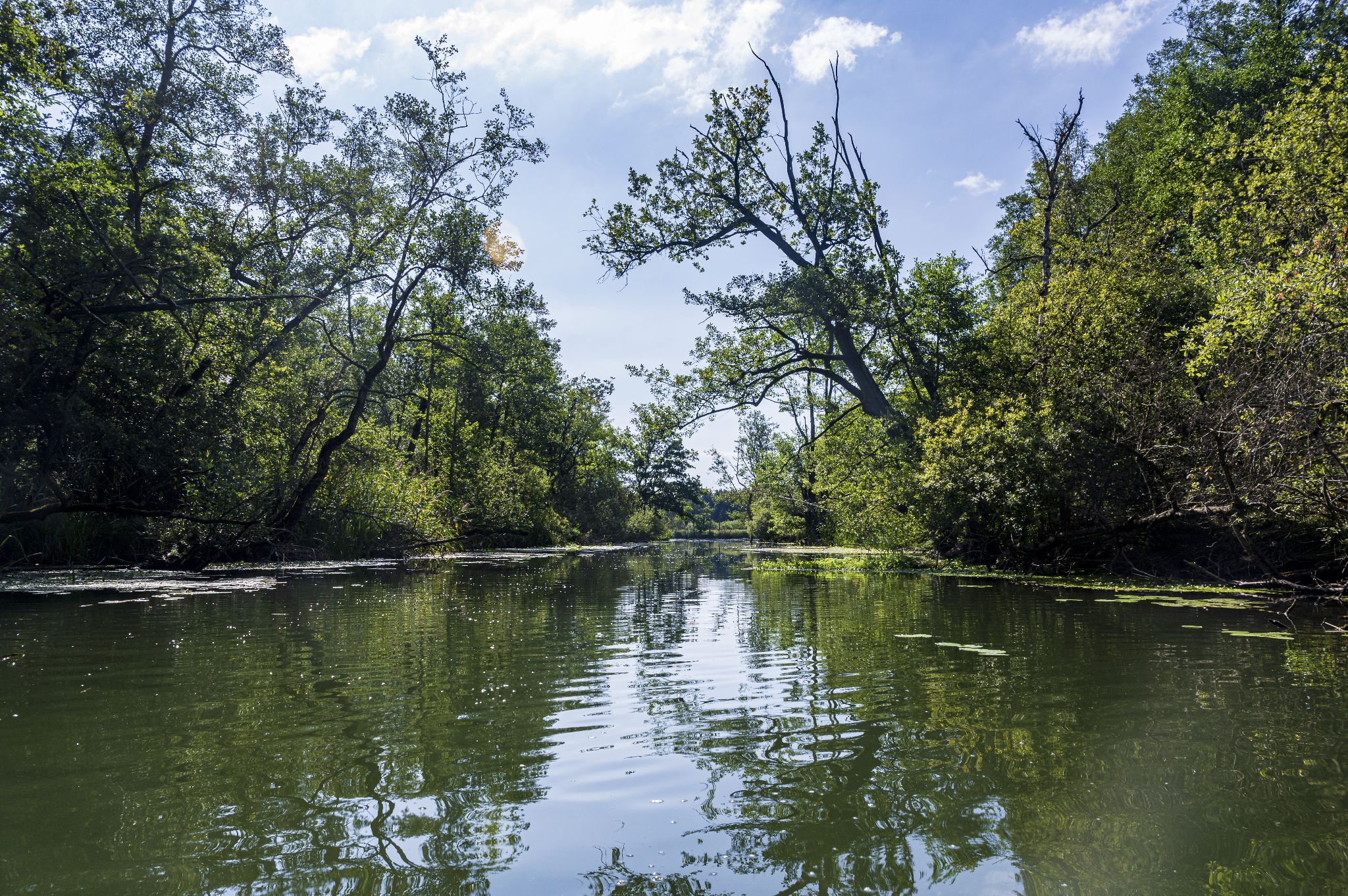 Kajaktour Leutstettner Moos 21.08.2022